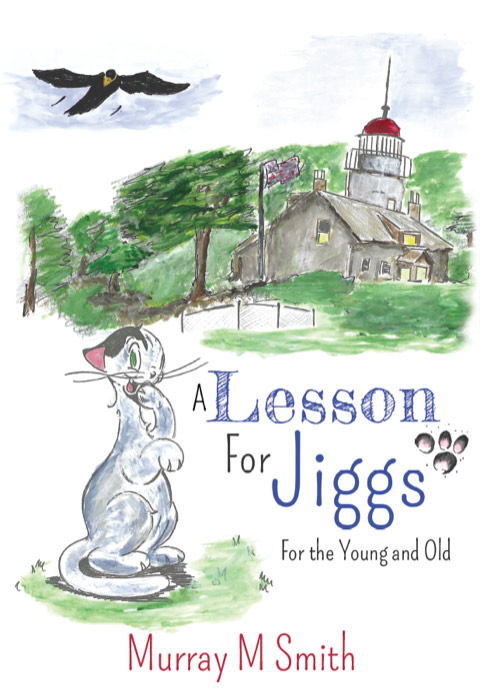 A Lesson For Jiggs book cover